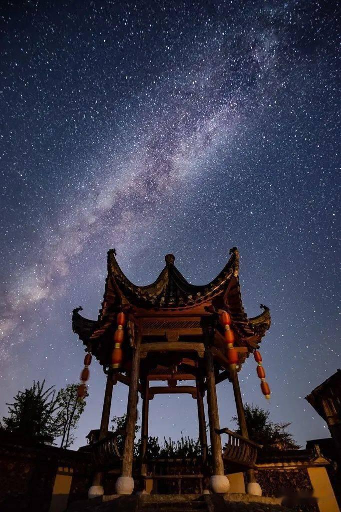 森系丛林