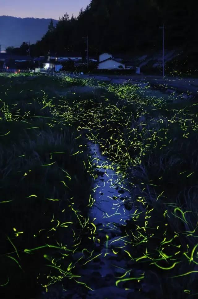 杰茜的欢乐时光