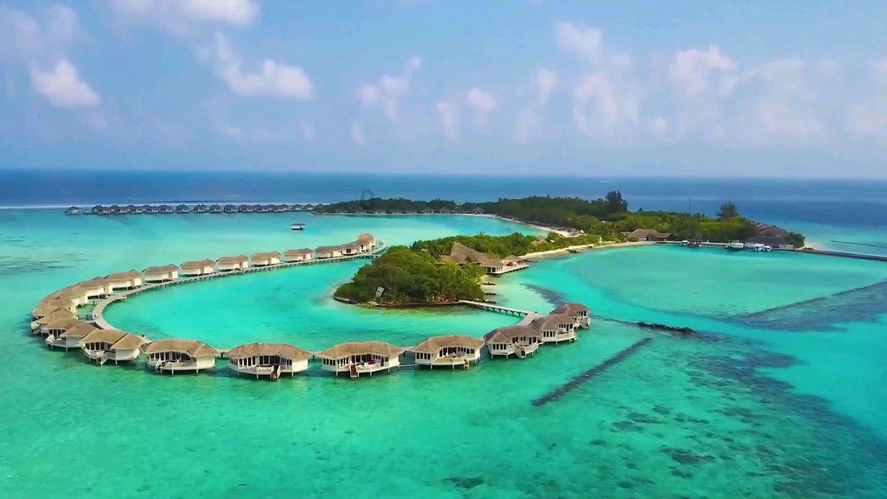 集装箱货运船