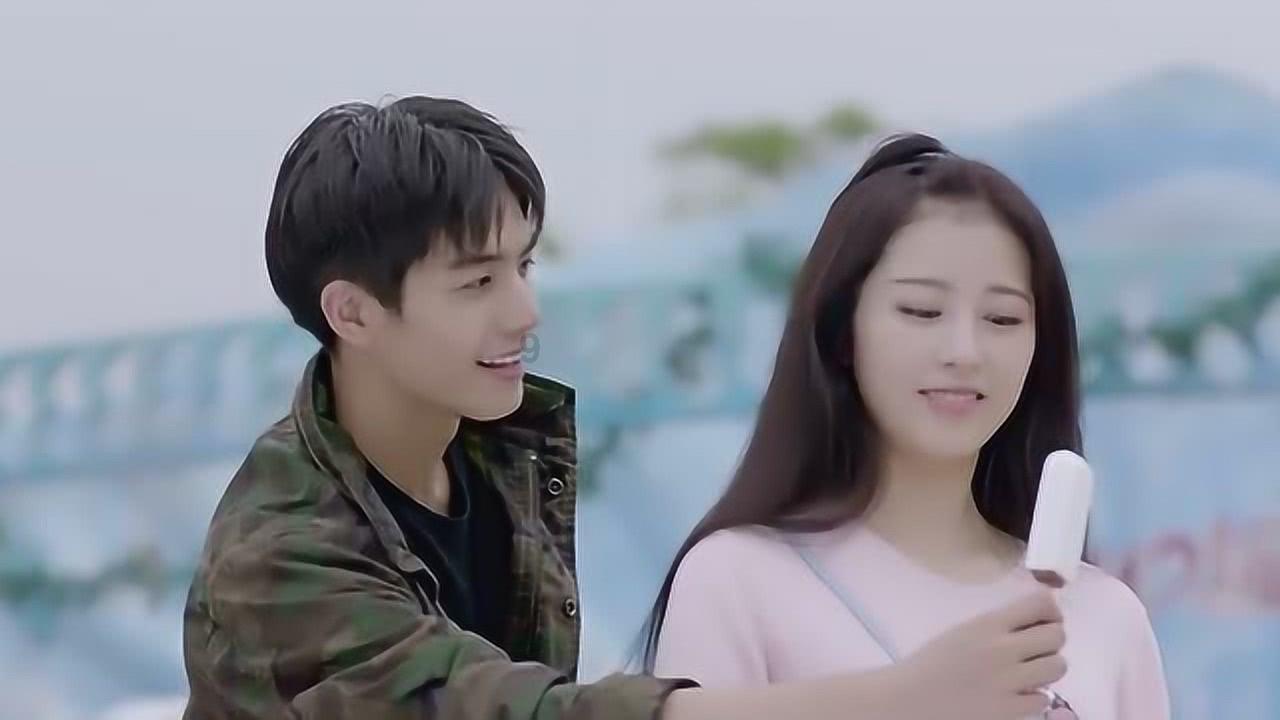 救援呆萌的猫