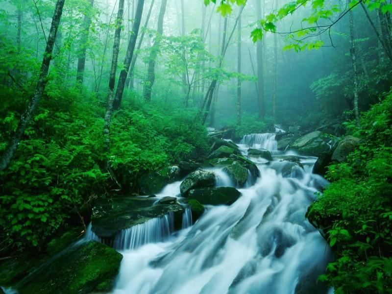 雷锋和雷峰塔：纯属巧合，没任何关联