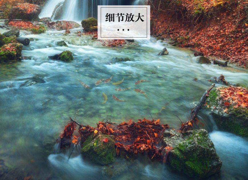 阜阳市颍东区:制造强区脚步铿锵