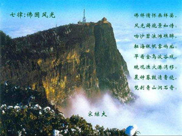 奥利维亚收养猫
