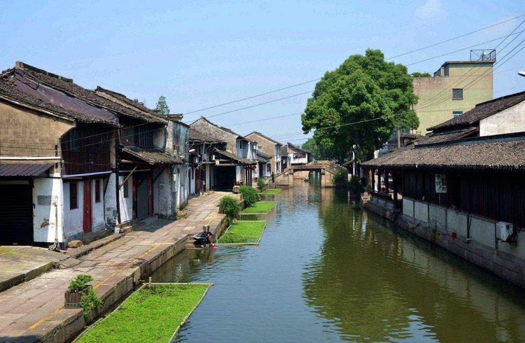 睦邻友好 欣欣向“龙”